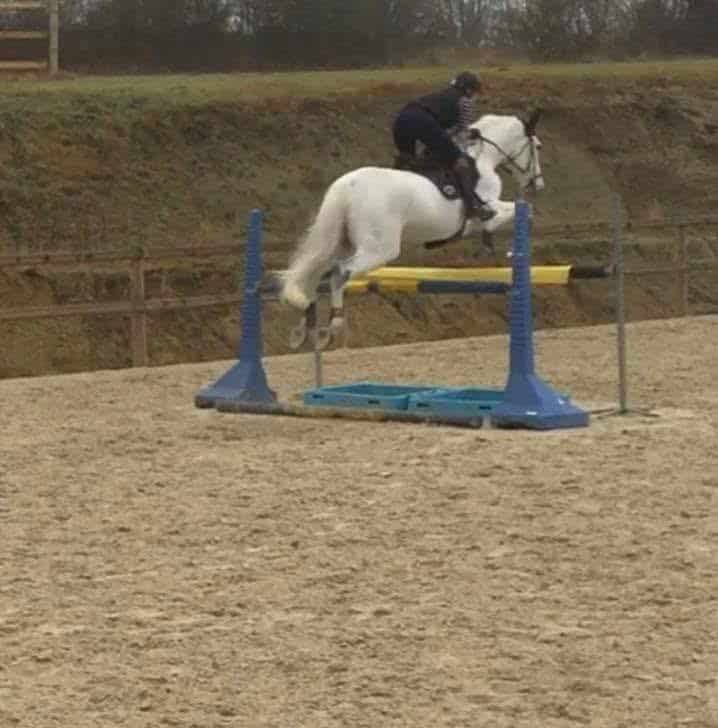 Pension pour chevaux à Valenciennes