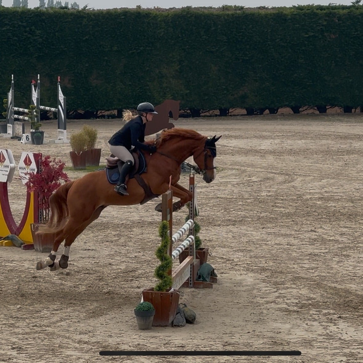 Travail du cheval à La Capelle