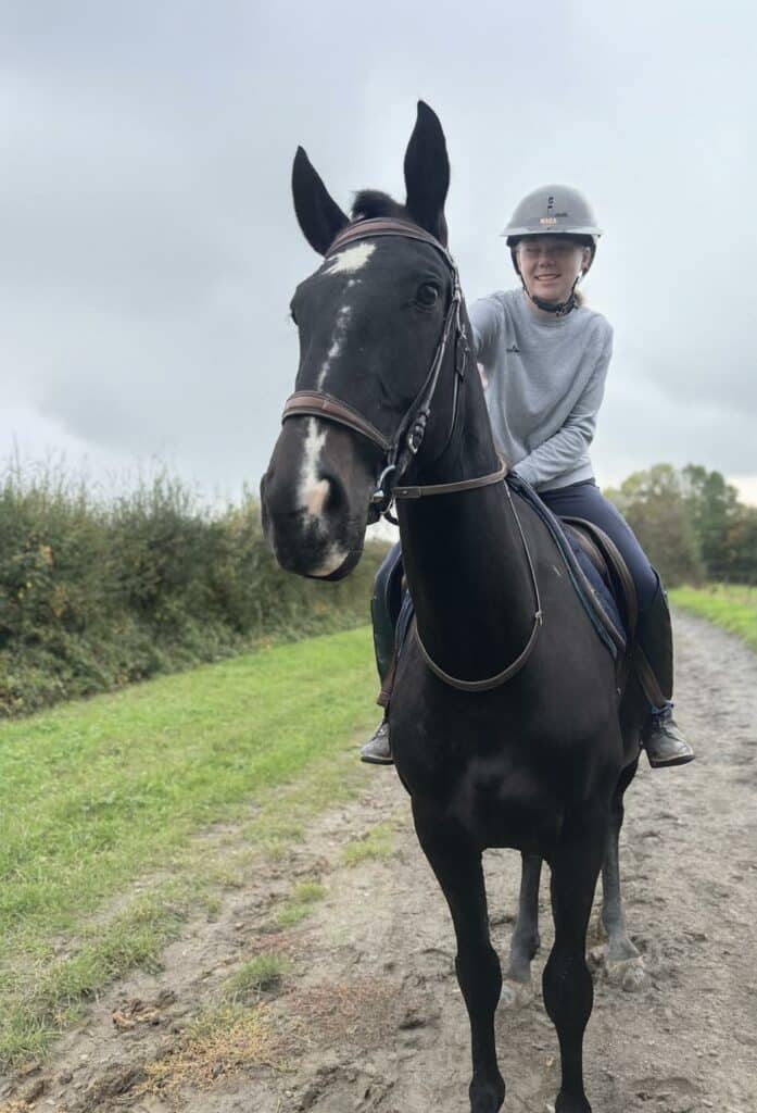 Comment acheter un cheval dans le Nord