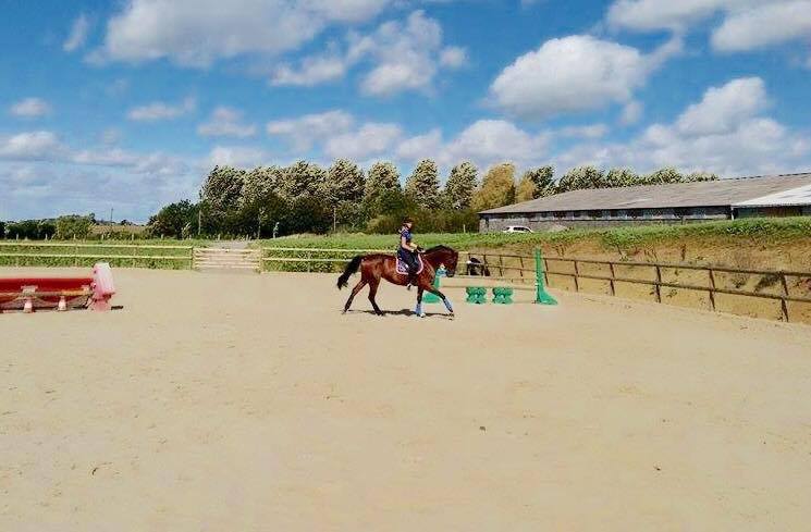 Travail du cheval à Aulnoye-Aymeries