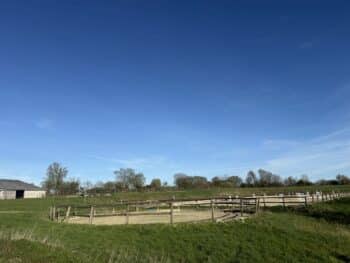 Écurie pour chevaux à Avesnes-sur-Helpe
