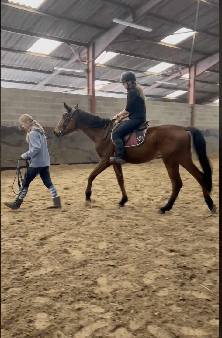 Débourrage cheval à Avesnes-sur-Helpe