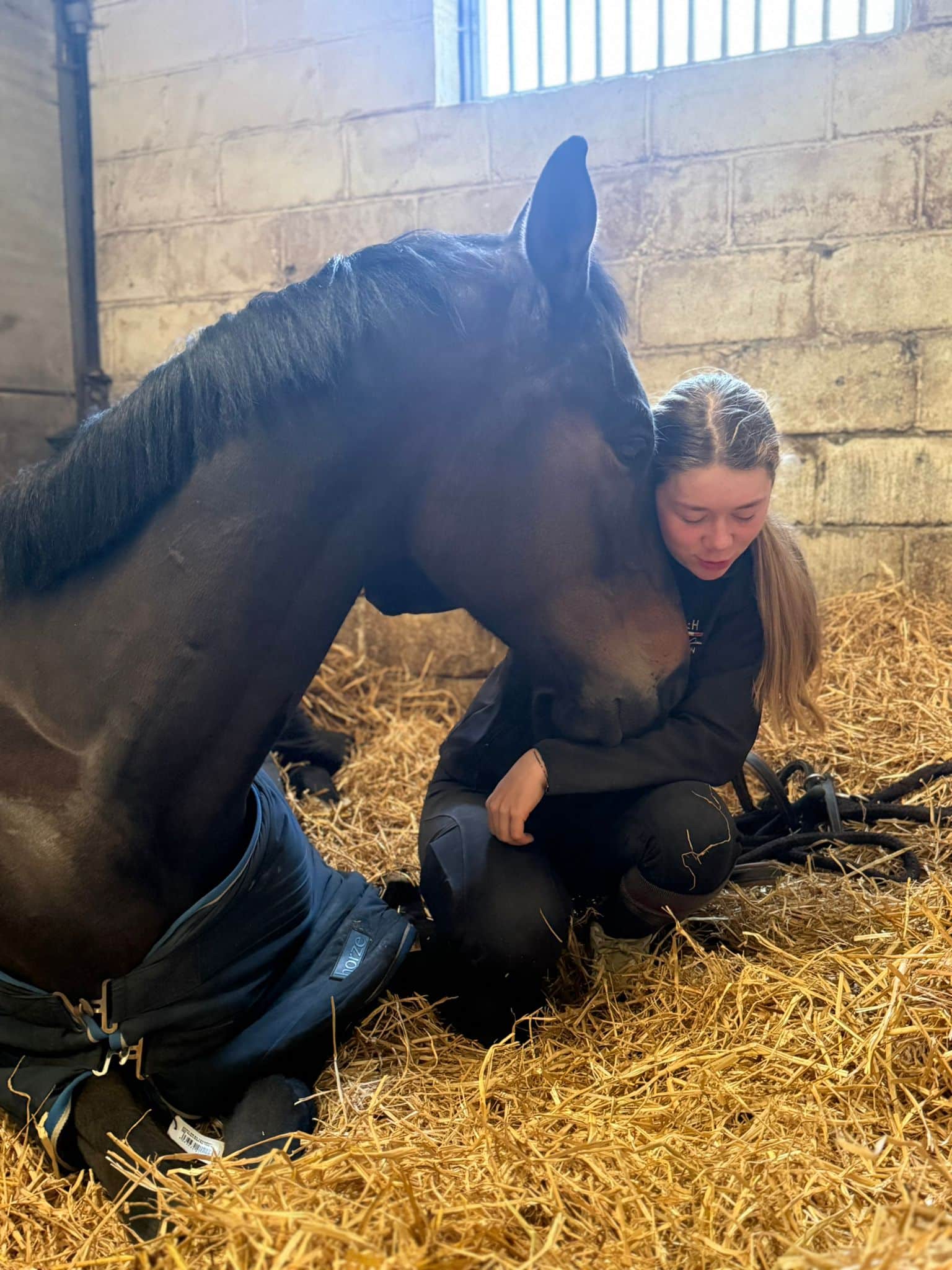 pension cheval Avesnes-sur-Helpe